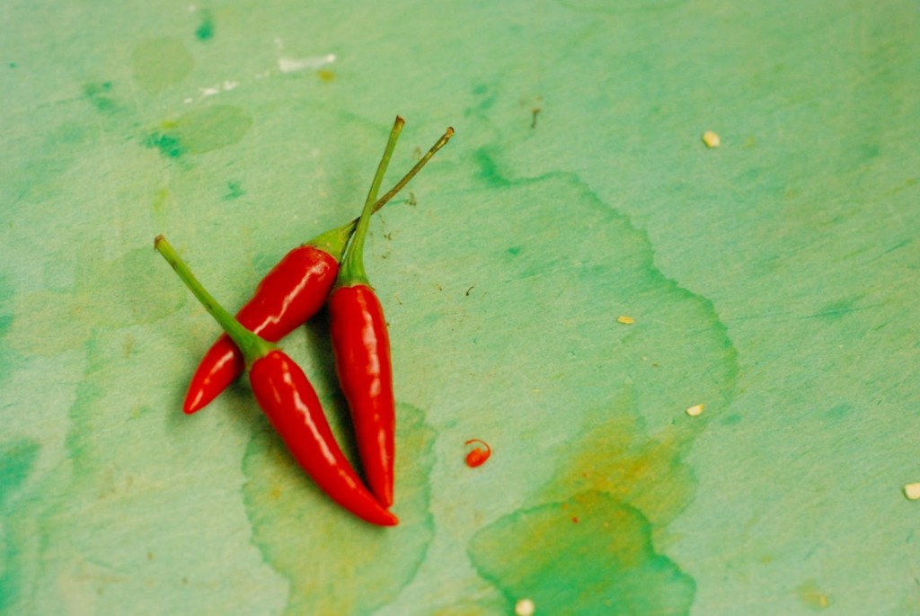 Syrové krevety, chilli papričky